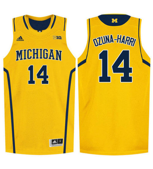 Michigan Wolverines 14 Rico Ozuna Harrison College Basketball Jersey Gold | Stitched Jersey RTJS 8613