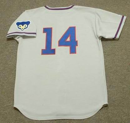 Chicago Cubs Ernie Banks MLB jersey front view