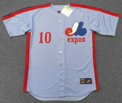Montreal Expos Andre Dawson MLB jersey front view