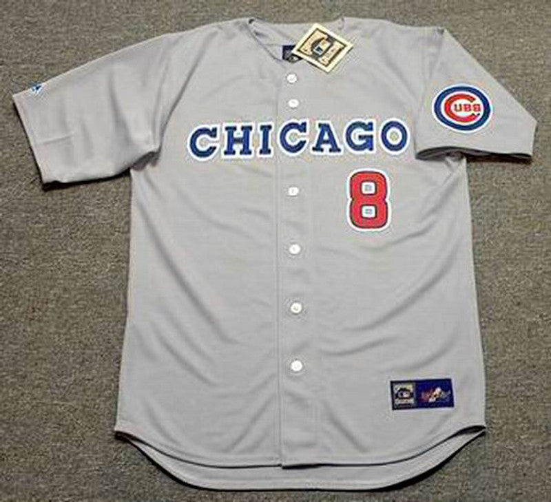 Chicago Cubs Andre Dawson MLB jersey front view