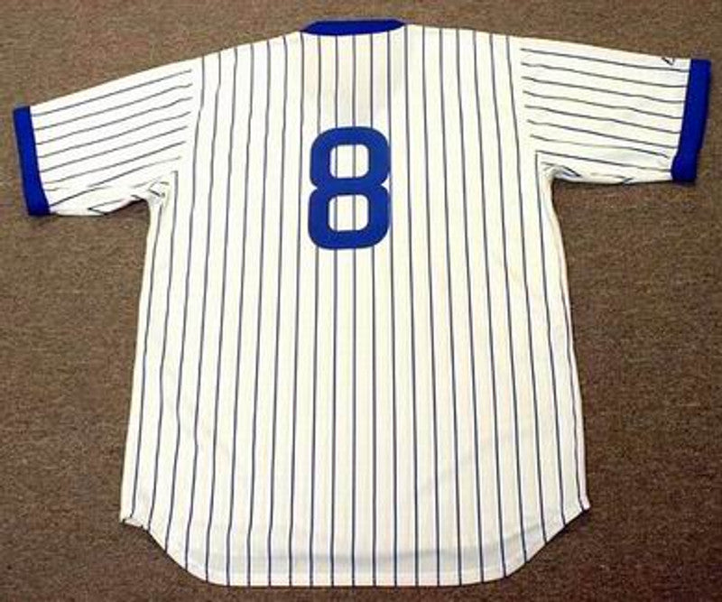 Chicago Cubs Andre Dawson MLB jersey front view