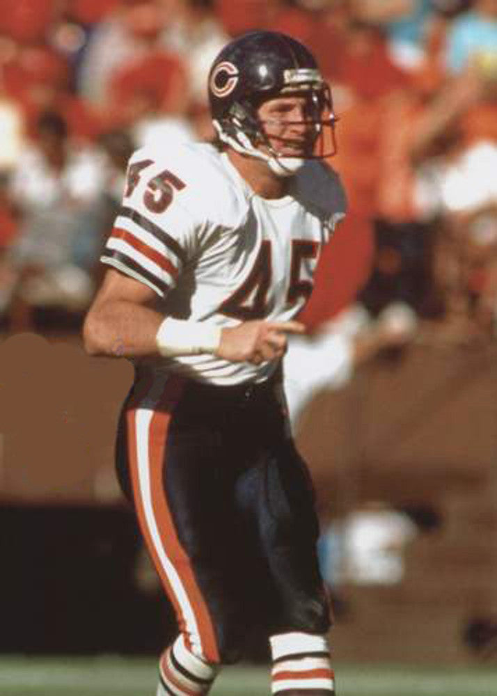 Chicago Bears Gary Fencik NFL jersey front view