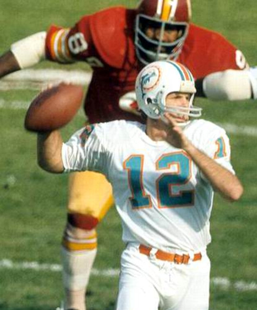 Miami Dolphins 1970s Name Number NFL jersey front view