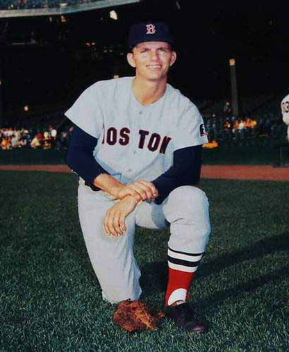 Boston Red Sox Bill Lee MLB jersey front view