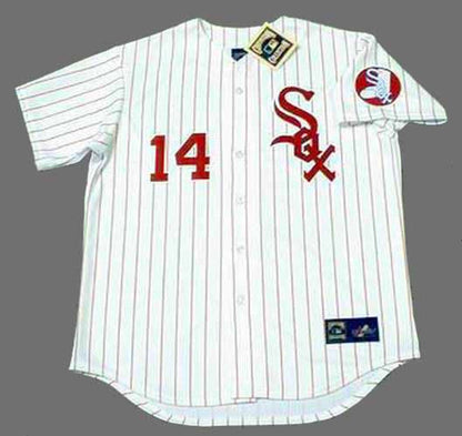 Chicago White Sox Bill Melton 1970s MLB jersey front view