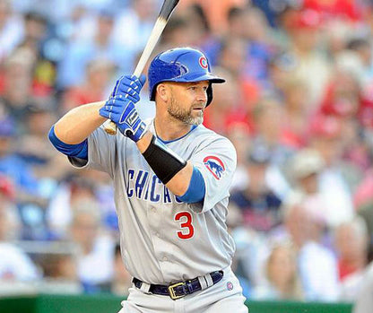Chicago Cubs David Ross MLB jersey front view