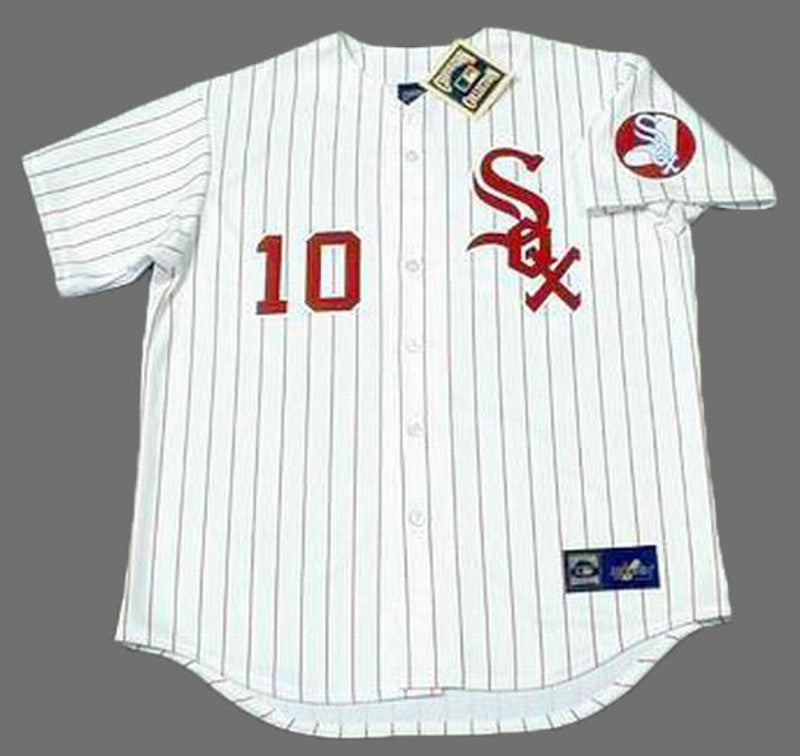 Chicago White Sox Ron Santo MLB jersey front view