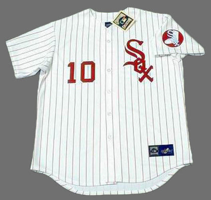 Chicago White Sox Ron Santo MLB jersey front view