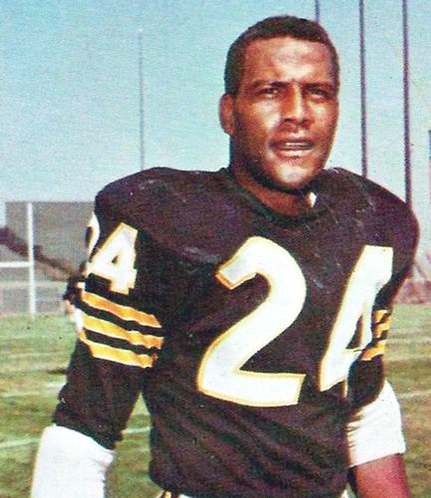 Oakland Raiders Fred Williamson NFL jersey front view